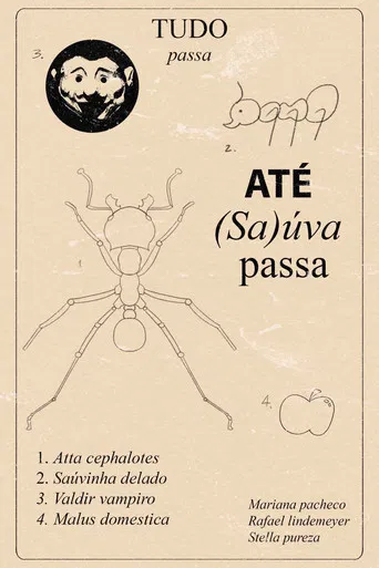 Tudo Passa Até (Sa)úva Passa poster
