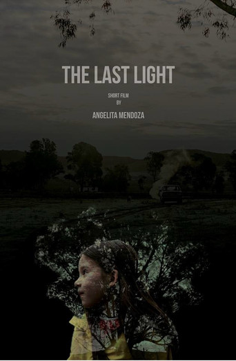 The Last Light poster