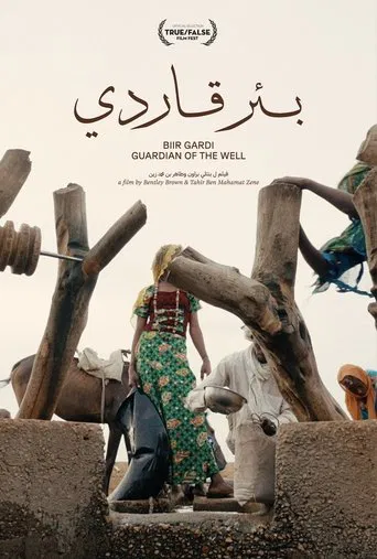 Guardian of the Well poster