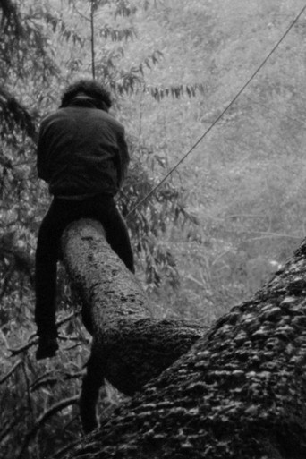 Sanctuary Station poster