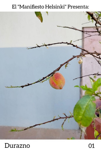Durazno poster