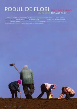 The Flower Bridge poster