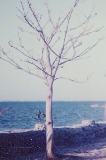 Two Women and the Rock Garden poster