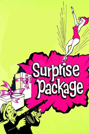 Surprise Package poster