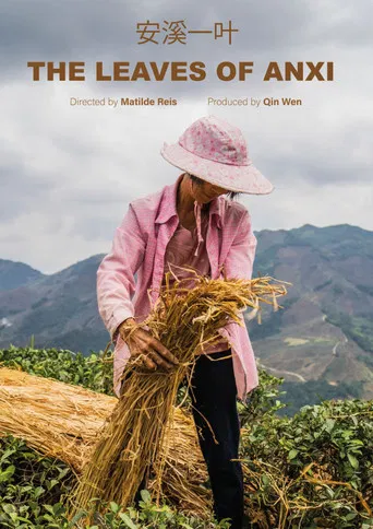 The Leaves of Anxi poster