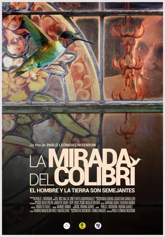 La mirada del colibrí poster