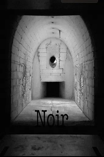 Noir poster
