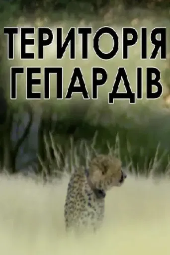 Man, Cheetah, Wild poster