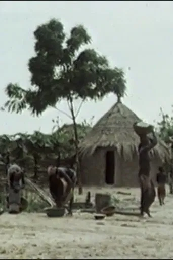 Subsister en savane poster