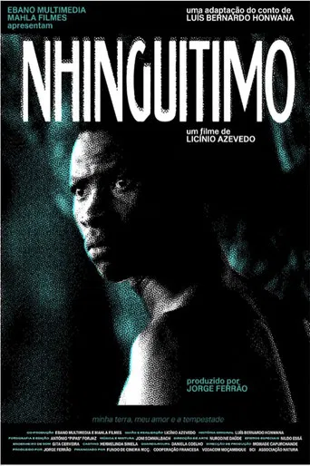 Nhinguitimo poster