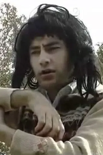 Falling Leaves poster