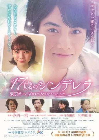 17歳のシンデレラ poster