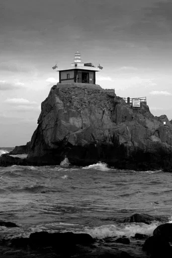 Transmigration: The Turtle and the Women poster