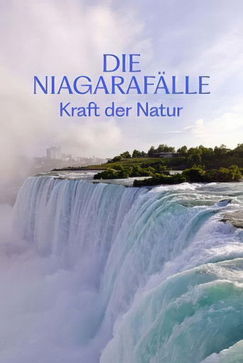 Niagara Falls poster
