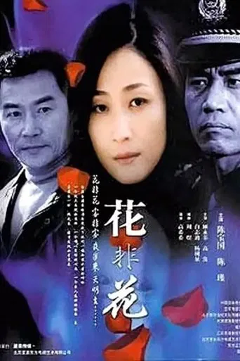 花非花 poster