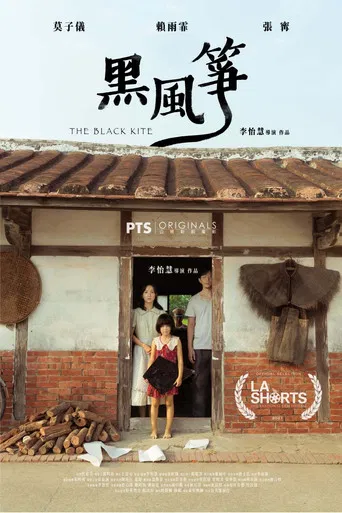 The Black Kite poster