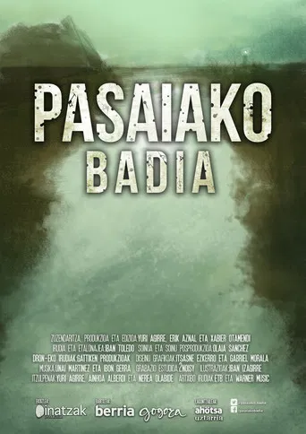 Pasaiako badia poster