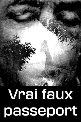 Vrai faux passeport poster
