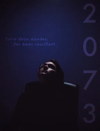 2073 poster