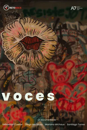 Voices poster
