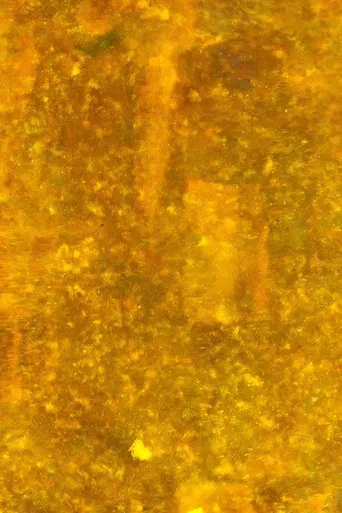 Or / Or (Hawick) poster