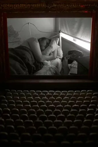 The Muriel Lake Incident poster