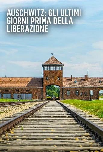 Auschwitz: Countdown to Liberation poster