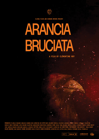 Arancia Bruciata poster