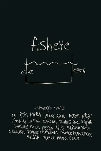 fisheye poster