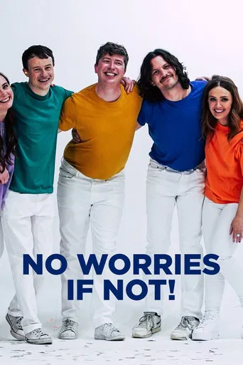 No Worries If Not! poster