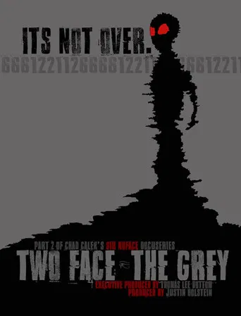 Two Face: The Grey poster