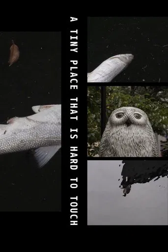 A Tiny Place That Is Hard to Touch poster