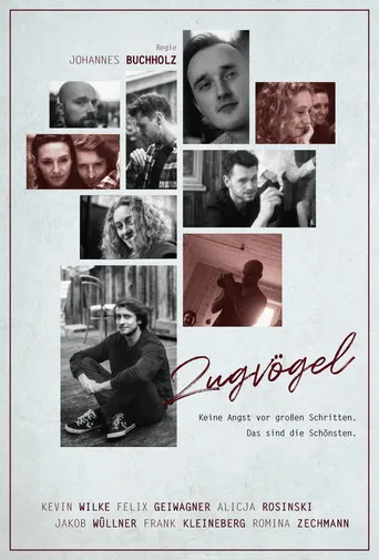 Zugvögel poster