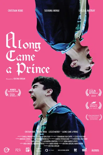 Along Came a Prince poster