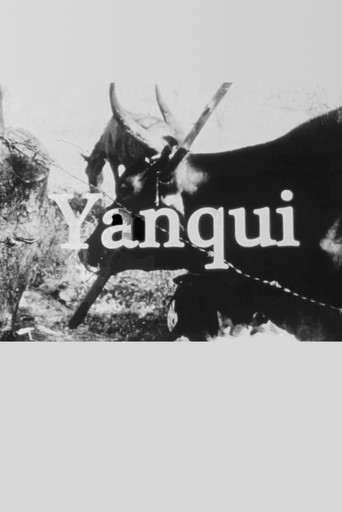 Yanqui WALKER and the OPTICAL REVOLUTION poster