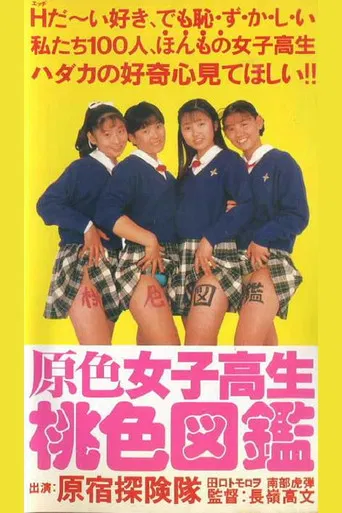 Primary Colour High School Girl Pink Picture Book poster