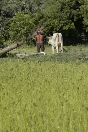 Where I Can’t Be Found poster