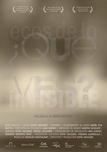 ¿Qué ves? Ecos de lo invisible poster