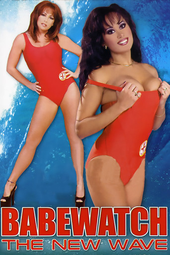 Babewatch 13 poster