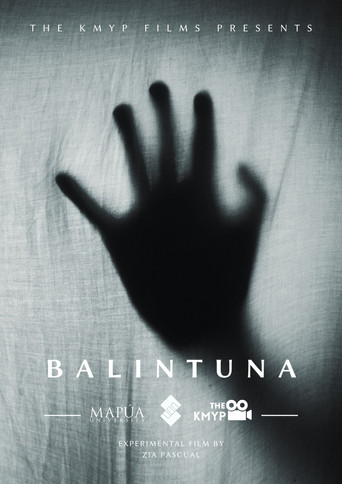 Balintuna poster