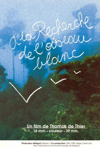 A la recherche de l'oiseau blanc poster