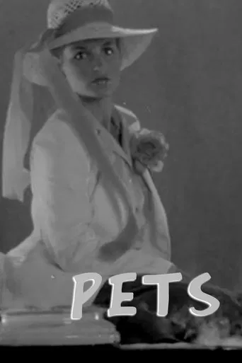 Pets poster