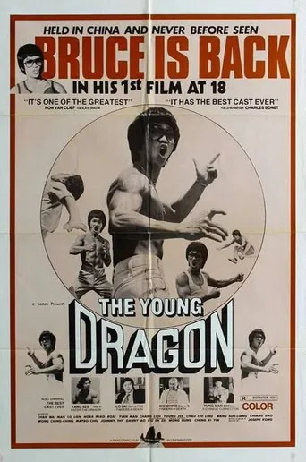 Young Dragon poster
