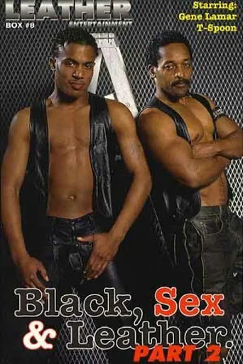 Black, Sex & Leather 2 poster
