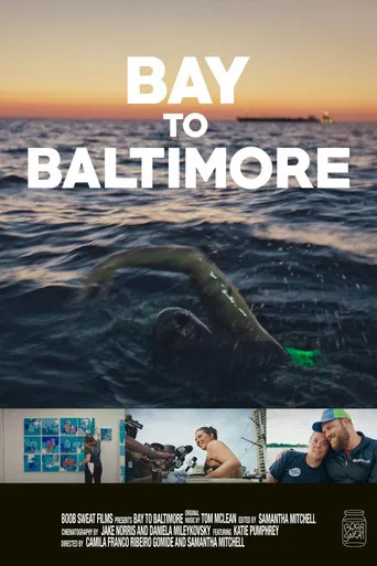 Bay to Baltimore poster