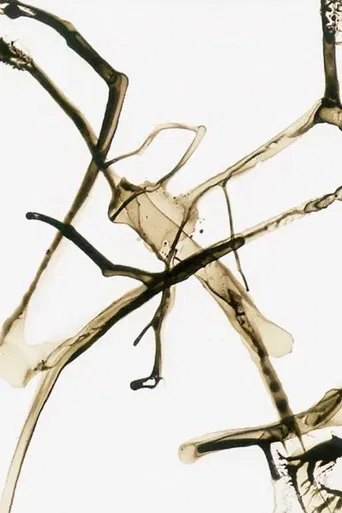 Automatic Writing poster