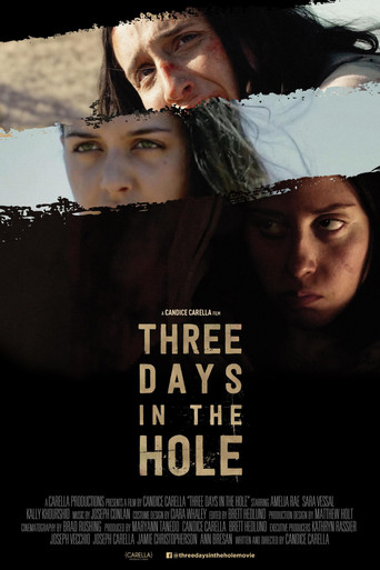 Three days in the hole poster
