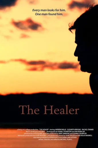 The Healer poster