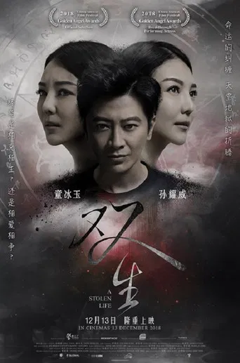 A Stolen Life poster