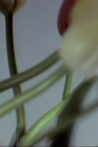 Lost / In Memoriam poster